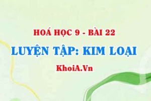 So sánh tính chất hoá học của NHÔM (Al) và SẮT (Fe) luyện tập tính chất hoá học kim loại, hợp kim sắt - Hoá 9 bài 22